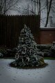 Julgransbelysning 16 LED 3D-låga Konstsmide